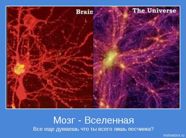 Мозг — Вселенная